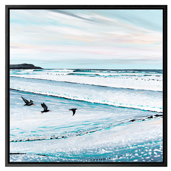 Sooty Oyster Catchers - Jacquie Chambers
