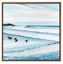  Sooty Oyster Catchers - Jacquie Chambers