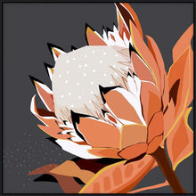  Sepia Protea A