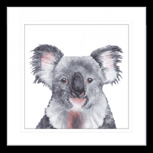  Koala Gaze - THE EMRA