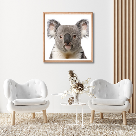 Koala - THE EMRA